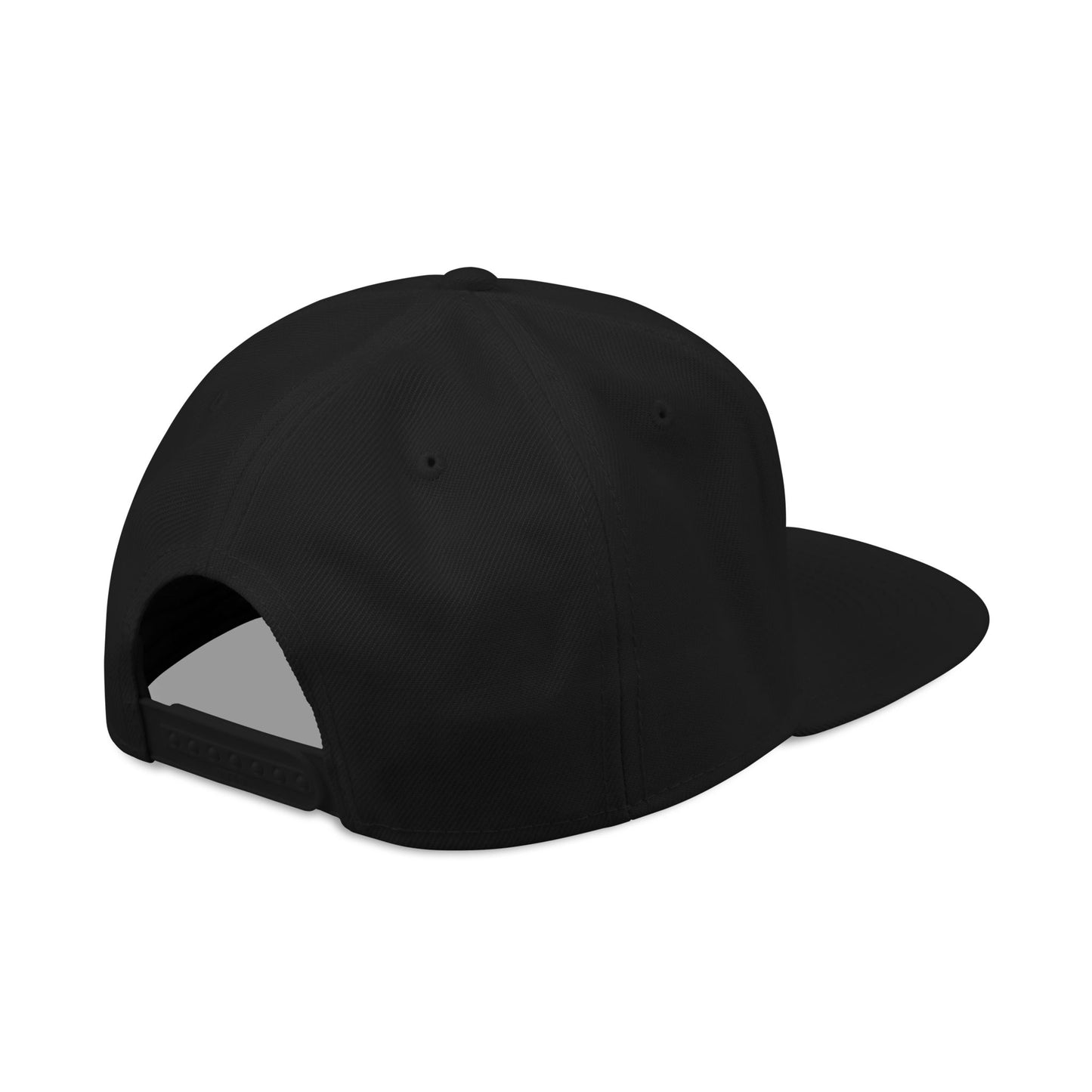 VTC Embroidered Snapback Cap